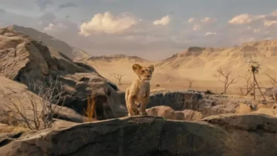 Mufasa The Lion King - A Roaring Adventure