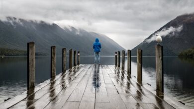 Loneliness Understanding Social Isolation