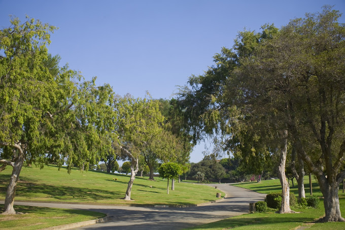 Aerial view of Holy Cross Cemetery grounds