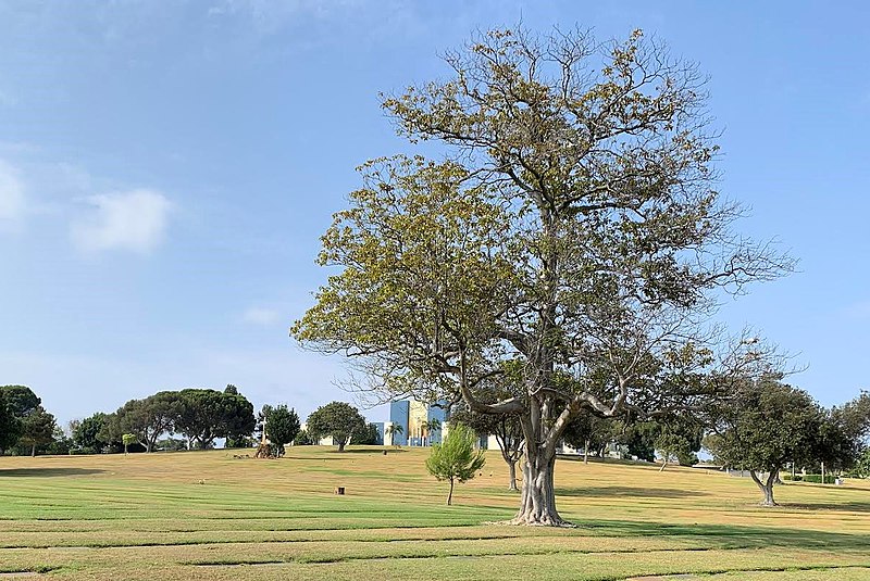 Celebrity grave of Bing Crosby at Holy Cross Cemetery